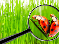 ТОП-10 анекдотов о сексе