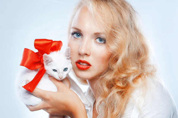 Кошки могут стать причиной развития рака мозга