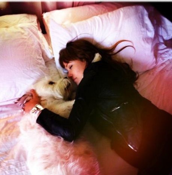 Оливия Уайлд: Моя собака – мой бойфренд