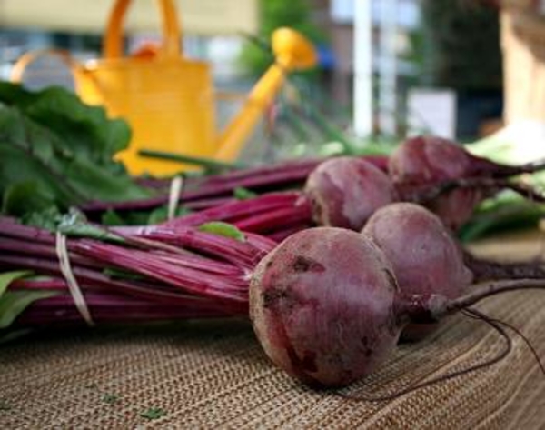Что приготовить из свеклы?