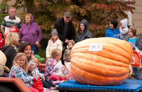 ТОП-10 кулинарных фестивалей мира