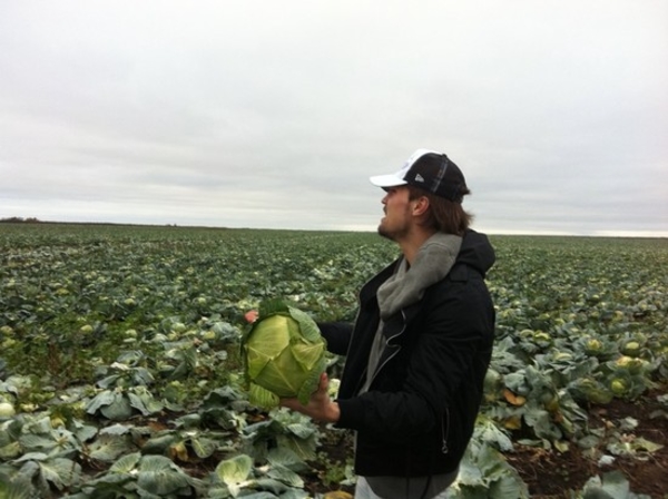 С гастролей Дима Билан привез... кочан капусты