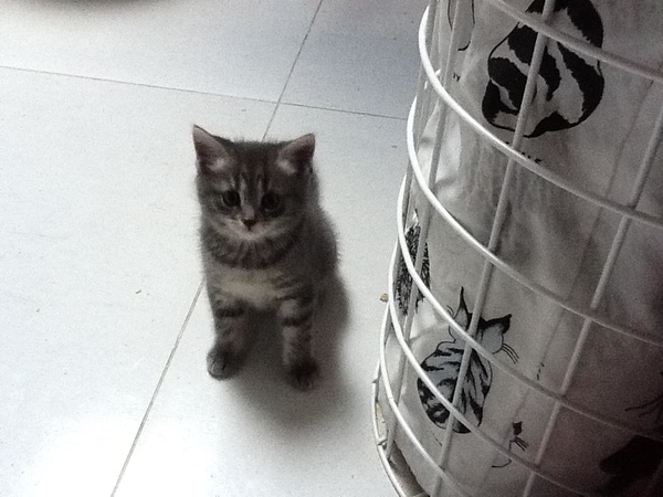 Маргарита Сичкарь нуждается в деньгах?