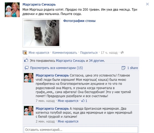 Маргарита Сичкарь нуждается в деньгах?