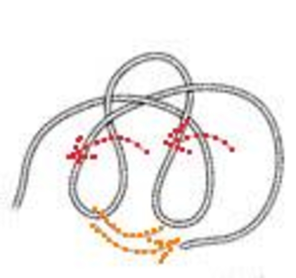 4 мастер-класса по изготовлению интересных ковриков для санузла