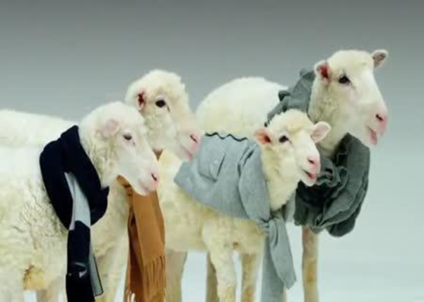 Хор ягнят от имени Brooks Brothers поздравляет с Рождеством