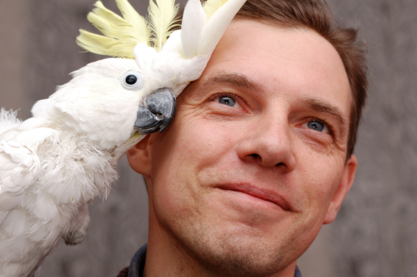 Твой мужчина: какая он птица