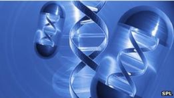 Первые успехи генного метода лечения гемофилии B