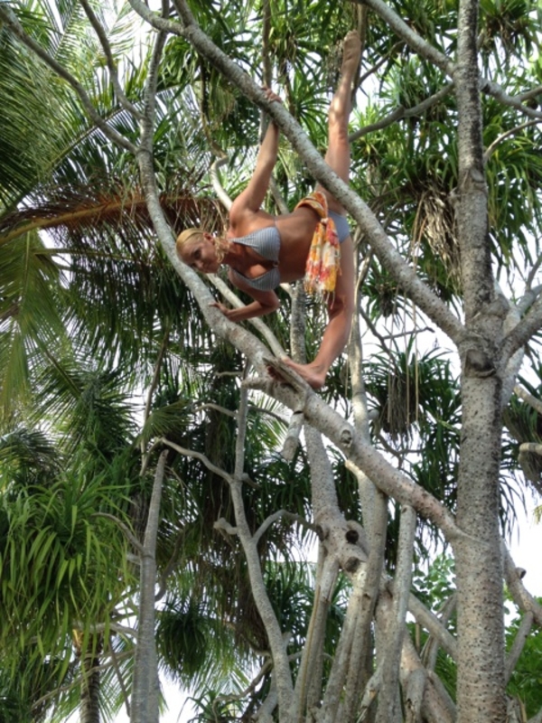 Анастасия Волочкова залезла на дерево