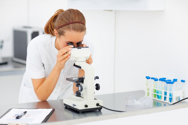 Кровеносные сосуды будут выращивать в лаборатории