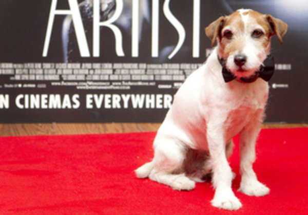 Соведущим церемонии Оскар станет собака