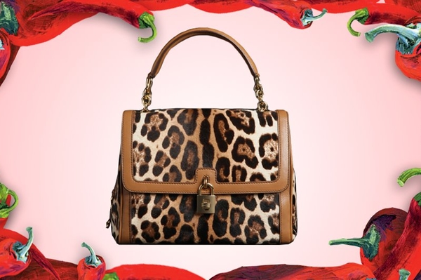 Facebook.com / Dolce & Gabbana