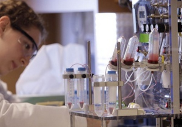 Лекарство от рака эффективно при болезни Альцгеймера