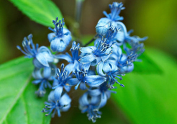 Специалисты выяснили, что поможет замедлить старение