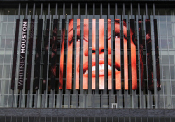 Рост цен на альбомы Уитни Хьюстон вызвала ошибка – Sony