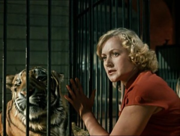 Из квартиры Людмилы Касаткиной украли все золото