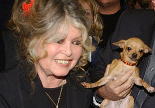 Брижит Бардо снова написала письмо Януковичу