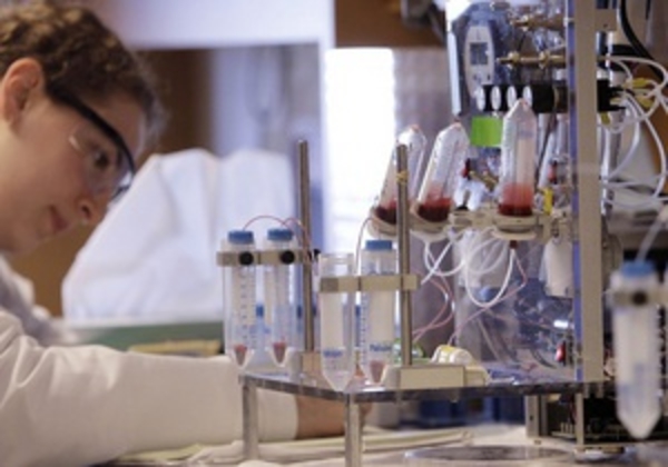 Ученые уверены, что нашли способ предсказывать инфаркт