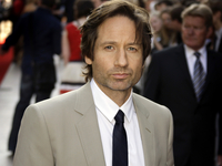 История любви: Дэвид Духовны и Теа Леони