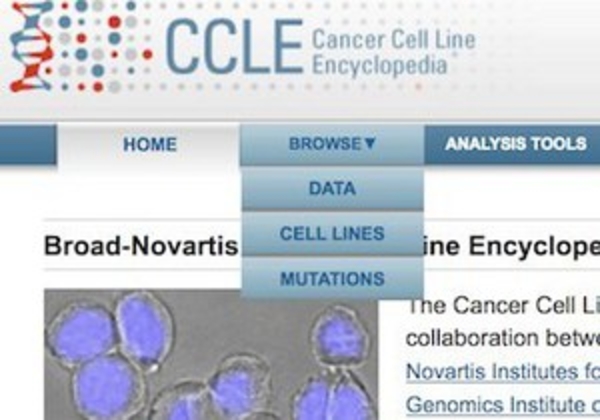 Ученые из США опубликовали Энциклопедию рака