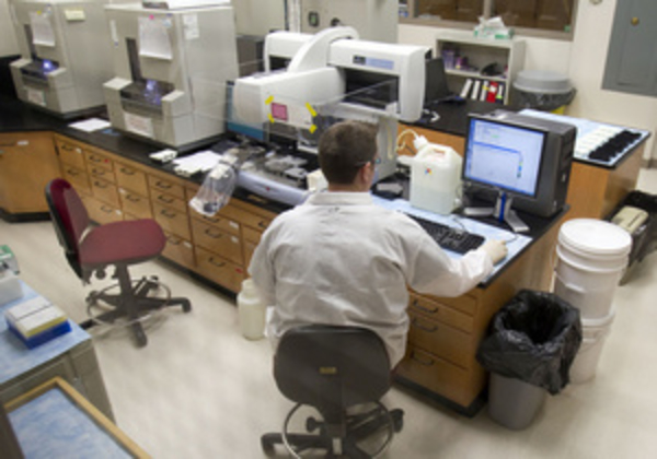 Исследователи: Лекарство от диабета эффективно для лечения рака