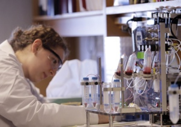 Клетки мозга свиней буду использовать для лечения болезни Паркинсона