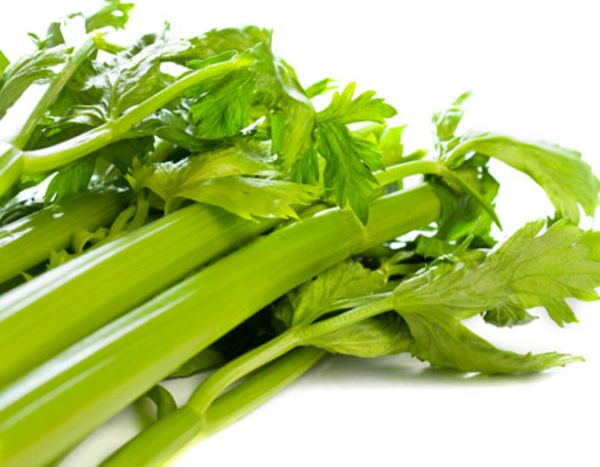 Что приготовить из сельдерея?