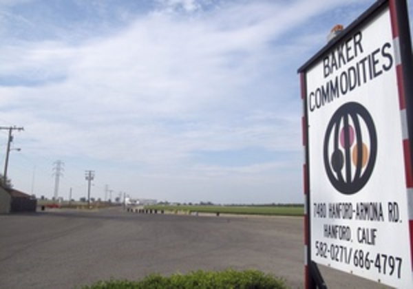 В США зафиксировали случай коровьего бешенства