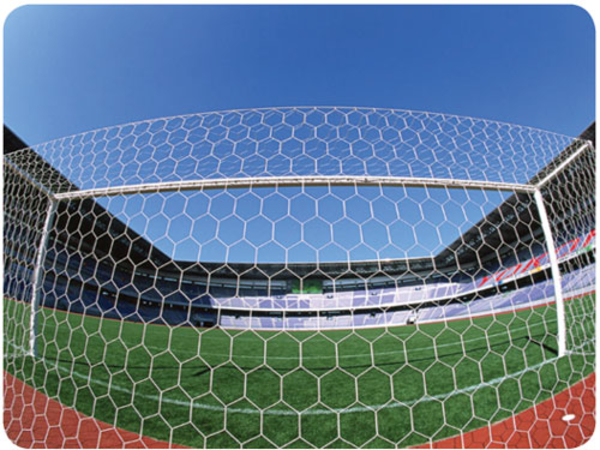 Ворота и зоны, на которые они делятся