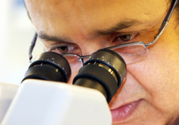 Ученые определили от чего зависит движение сперматозоидов