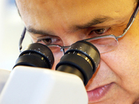 Ученые определили от чего зависит движение сперматозоидов