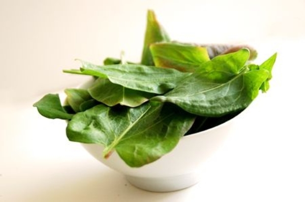 Весеннее меню: Что приготовить из щавеля?