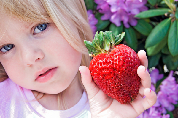Вводим ягоды в рацион ребенка
