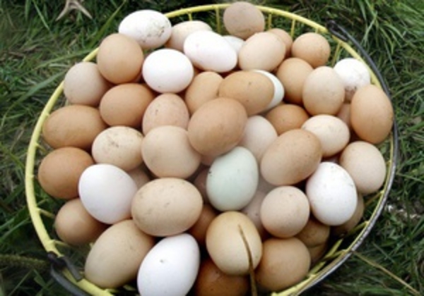 Корреспондент составил десятку самых полезных продуктов