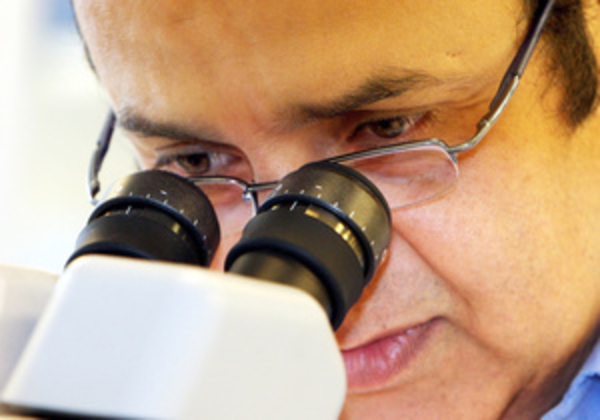 Наночастицы из ДНК для лечения рака создали химики