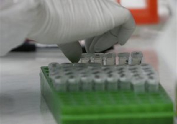 Ученые выдвинули новую концепцию возникновения рака