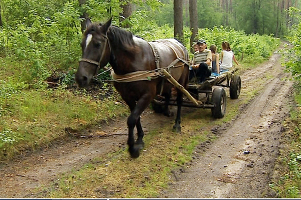 Антин Мухарский прокатил ведущую Настю Касилову на телеге