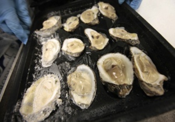 Какой день в году самый опасный для жизни и где запретили курить – итоги недели