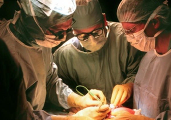 Британские эксперты: Дефектные грудные протезы не опасны