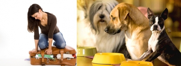 О чем нужно побеспокоиться, собираясь в отпуск