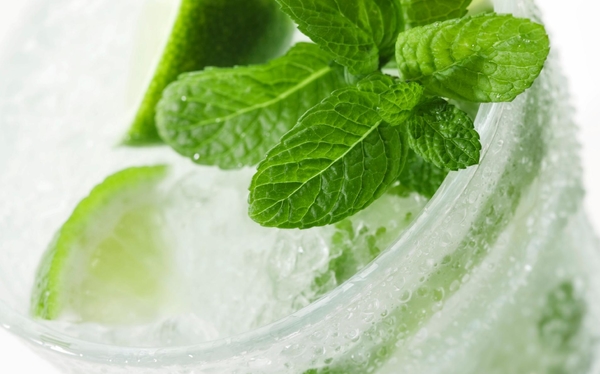 Самые популярные летние коктейли: ТОП-5 рецептов