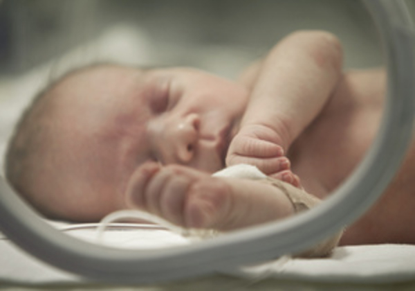 Во всех регионах Украины зафиксирован рост рождаемости - Госстат