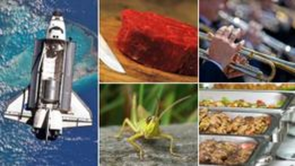 Еда будущего: чем мы будем питаться через 20 лет?