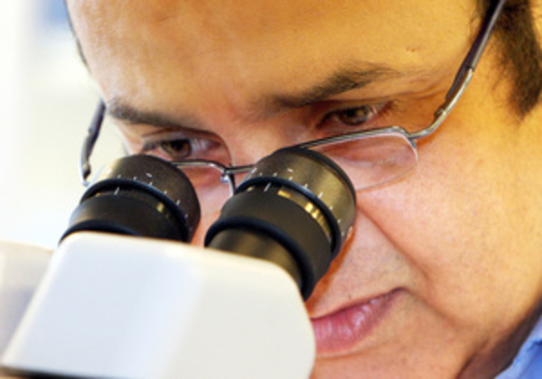 Ученые узнали, что влияет на восприимчивость раковых клеток к лекарствам