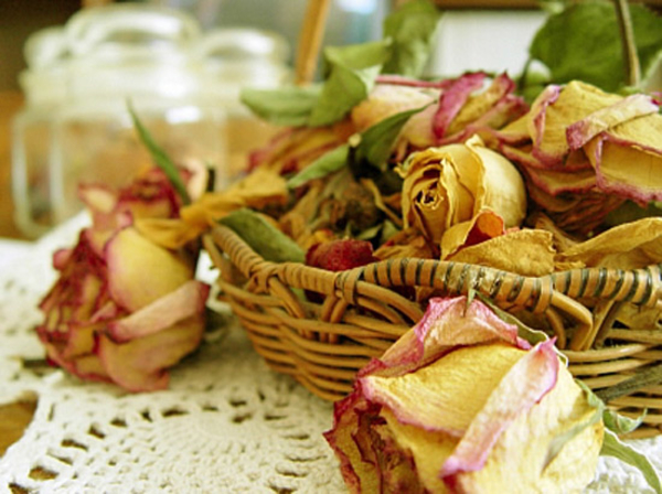 Из цветов, которые завяли, можно делать картины (ВИДЕО)