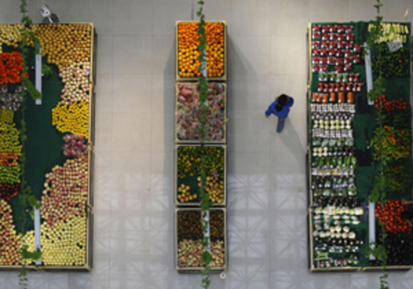 В США поставили под сомнение преимущества органических продуктов