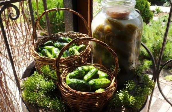 Огурцы на зиму: ТОП-5 рецептов