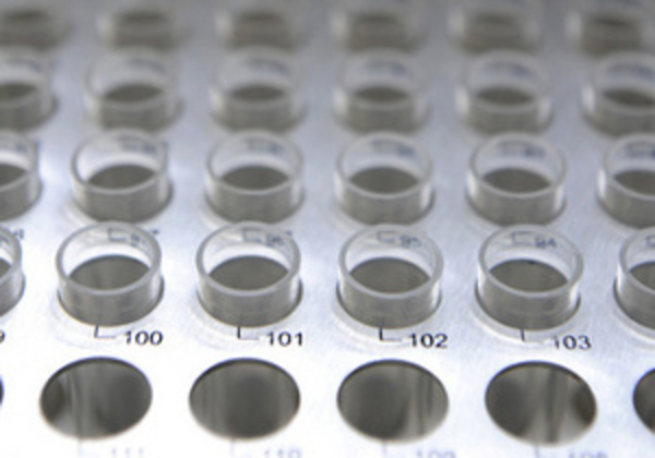 В легких свиней обнаружили сверхзаразный вирус гриппа