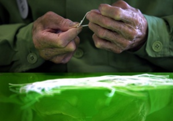 Стремительное старение населения Земли беспокоит ООН