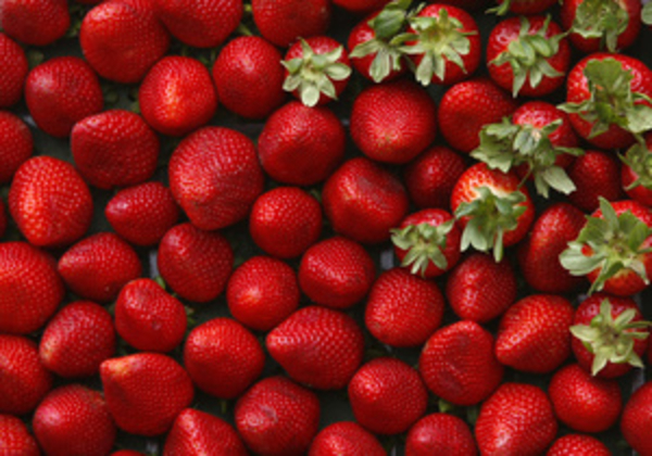 Отравление детей и подростков в Германии: причиной инфекции могла стать клубника